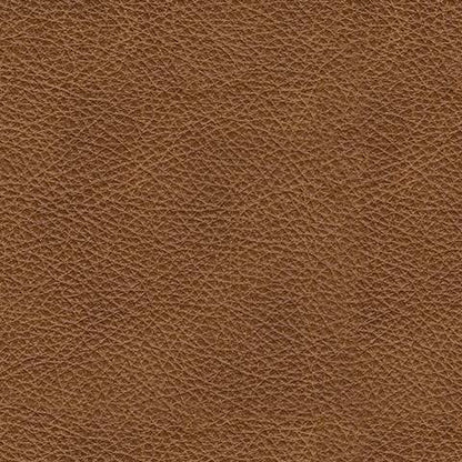 Carianna  Sofa Sleeper